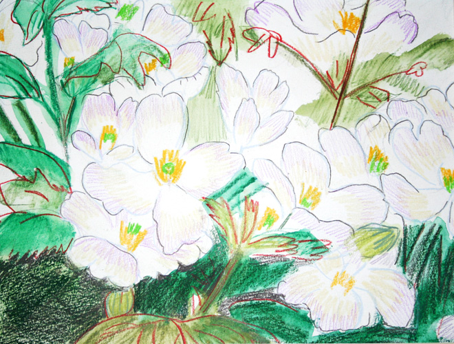 water color and pencil on paper based on photos taken while traveling